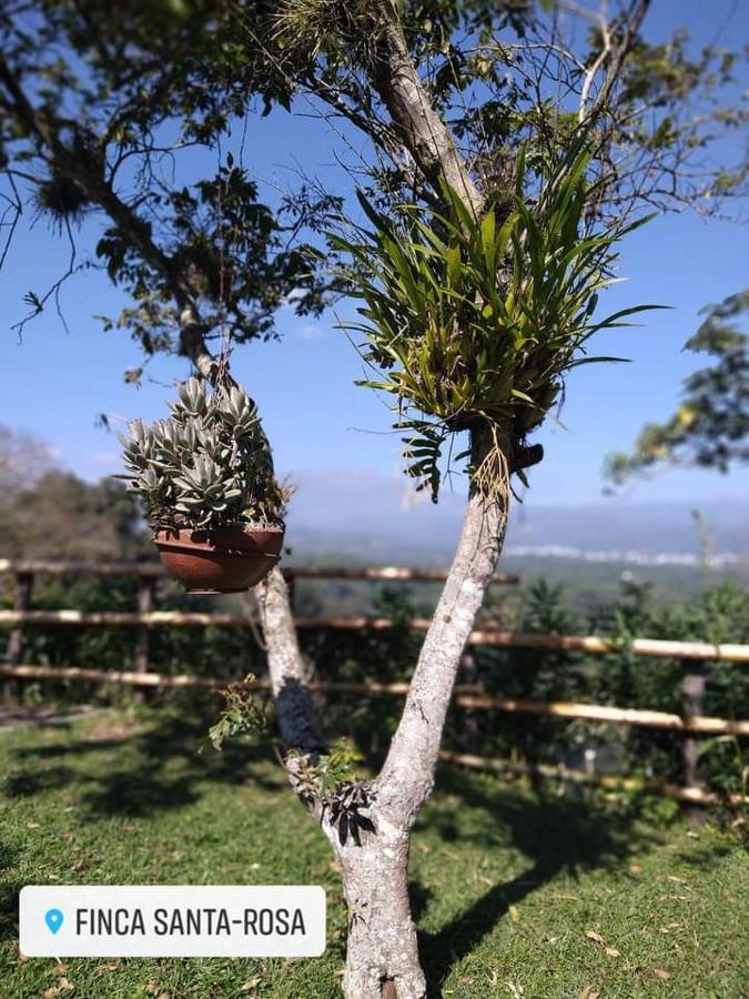 Finca Santa Rosa Teocelo Exteriér fotografie